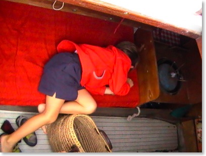 tomsieste
